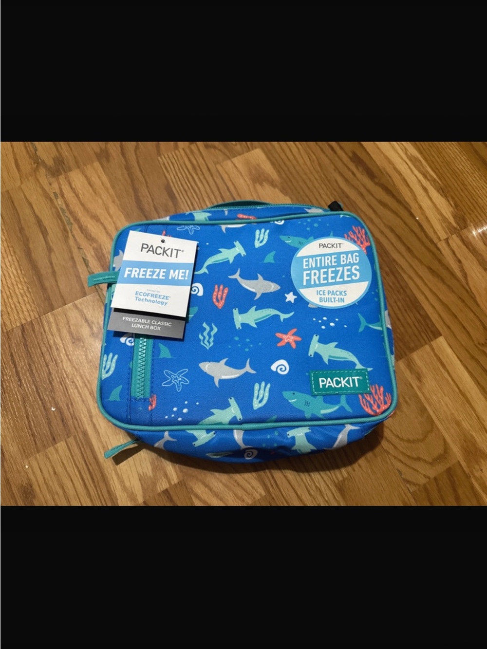 PACKIT Lunchbox